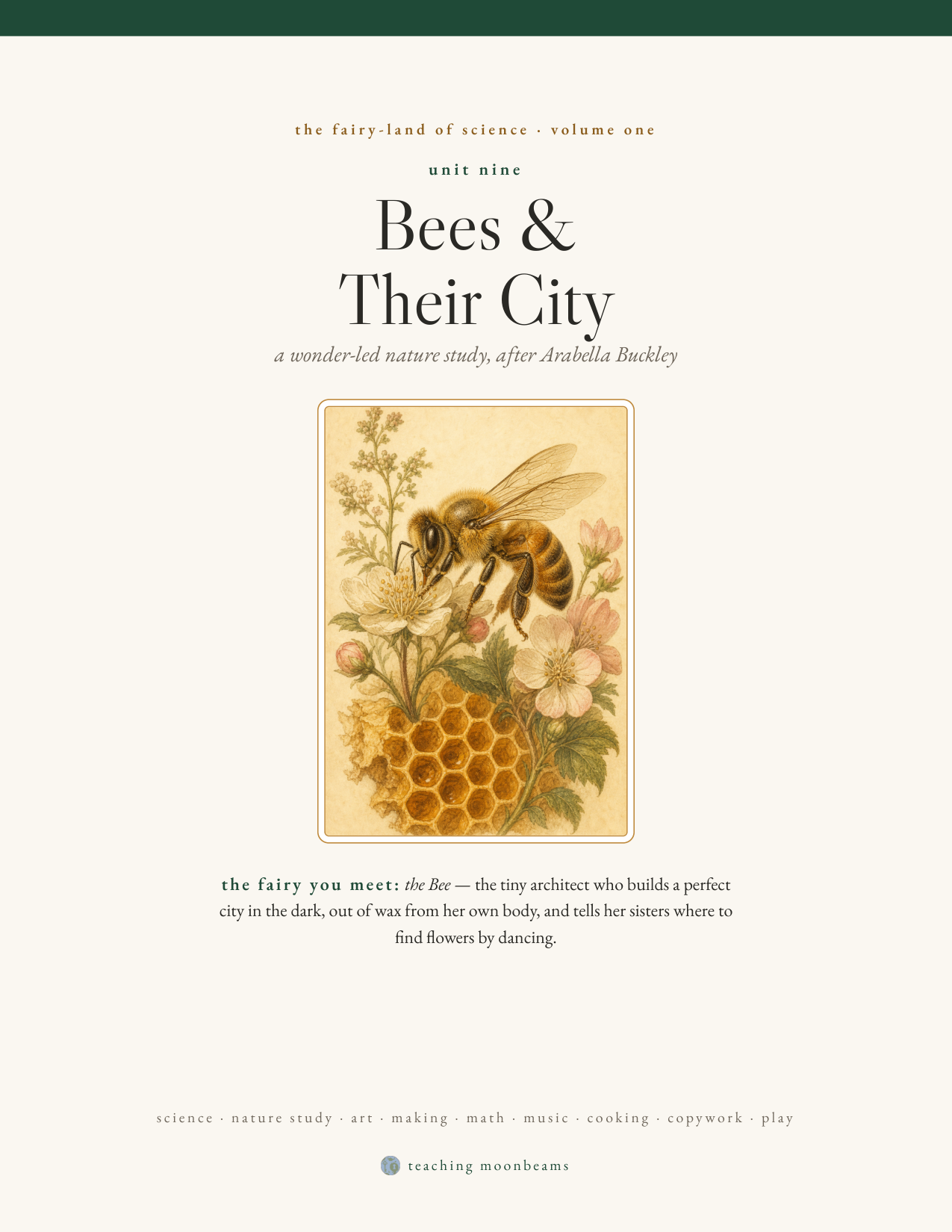 Cover of the Bees & Their City nature-study unit — a thin-line drawing of a bee inside a circle, with the title in an elegant serif.