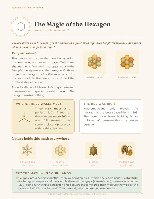 The Magic of the Hexagon math page.