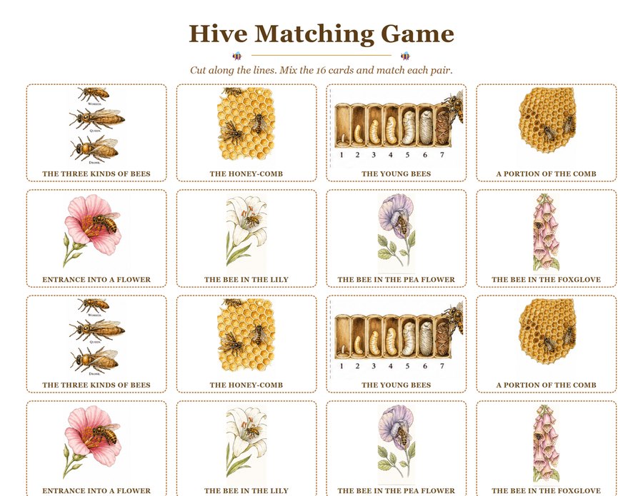 The Hive Matching Game, sixteen illustrated cut-out cards.