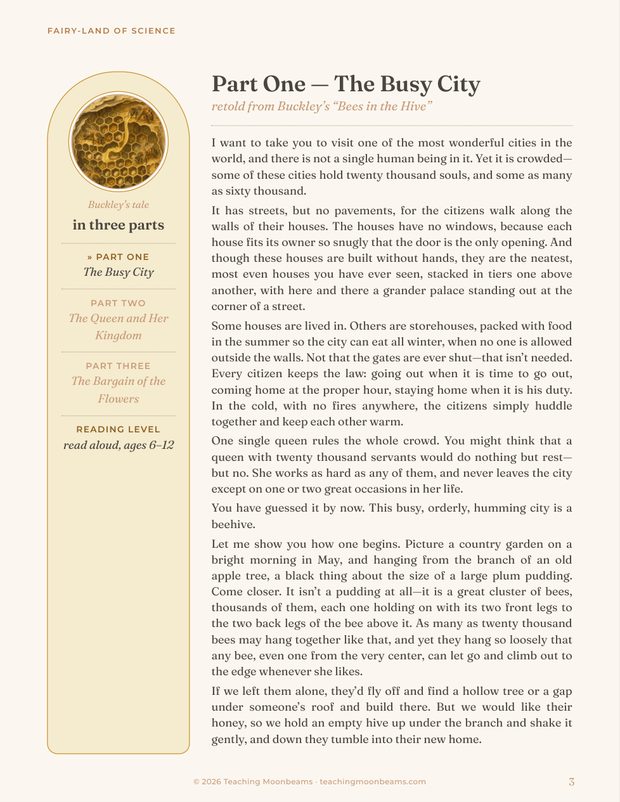 A story page from the unit, with a warm side panel.