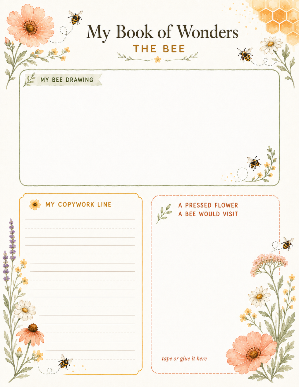 A page from inside the unit: the watercolor My Book of Wonders keepsake page, with spots for a bee drawing, a copywork line, and a pressed flower.